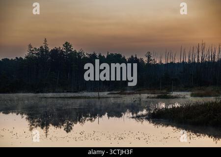A peaceful sunset reflects over the quiet wetlands of the New Jersey Pine Barrens, where dead trees meet still water under a warm evening sky Stock Photo