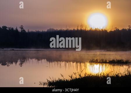 Golden sunrise casts warm light over misty wetlands in the Pine Barrens of New Jersey, reflecting trees and sky on calm morning waters. Stock Photo