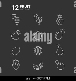 A collection of twelve line icons representing different fruits. The design highlights popular fruits, offering a modern and simple look suitable for various applications. Stock Vector
