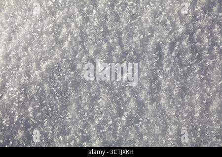 Fresh snow background texture. White winter backdrop. Stock Photo