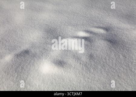 Fresh snow background texture. White winter backdrop. Stock Photo