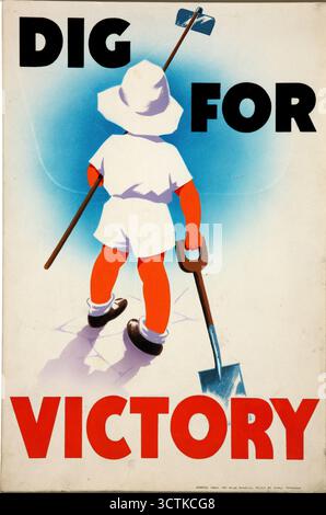 'Dig for Victory', World War II poster, c1939-c1945. In Britain, "digging for victory" was a government initiative which used waste ground, ornamental gardens and lawns for growing vegetables. Sports fields and golf courses were requisitioned for farming or grazing sheep. Stock Photo