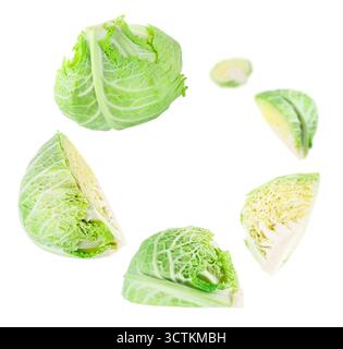 Fresh Savoy cabbage flying in air against white background Stock Photo