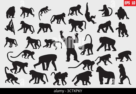 Monkey silhouettes, Monkey silhouette collection, Sitting monkey silhouette, Monkey vector illustration Stock Vector