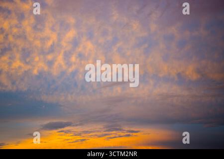 The last light of day highlights a layer of Altocumulus flocculus clouds.These are mid-level patches of cloudlets comprised of ice crystals and water Stock Photo