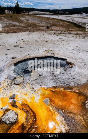 Ear Spring in the Upper Geyser Basin is named for its shape. It often ...