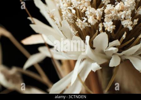 Close up view of artificial driend flowers and reeds Stock Photo