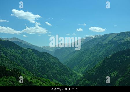Verdant mountain valley covered in lush green forests. Majestic peaks with traces of snow. Scattered white clouds are conveying profound natural tranq Stock Photo