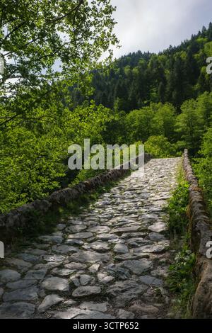 Stone bridge through forest. A serene stone bridge pathway winding through lush greenery. surrounded by trees. Inviting wanderers to explore the beaut Stock Photo