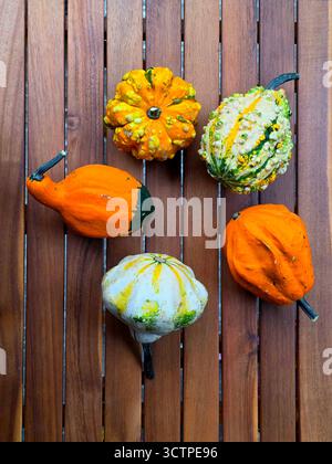 A collection of five ornamental gourds in different shapes, colors, and textures arranged on a brown wooden slatted surface, viewed from above Stock Photo