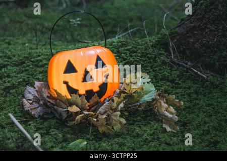 Plastic Halloween pumpkin basket with carved face surrounded by dried fall foliage on moss covered woodland floor for seasonal outdoor decoration Stock Photo
