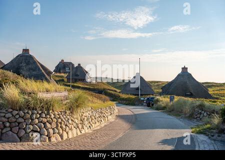 Charming thatched-roof houses nestled in the dunes, nestled in a green landscape. A winding path leads idyllically through the seaside settlement. Stock Photo