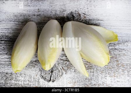 Fresh raw Belgian endives (chicory) isolated on a wooden background. Healthy and vegetarian food. Directly above. Stock Photo