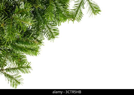 christmas fir tree branches in corner isolated on white Stock Photo