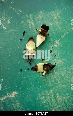 Burnt origami birds on textured green surface symbolizing fragility, destruction, and artistic expression Stock Photo