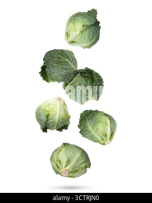 Fresh Savoy cabbage flying in air against white background Stock Photo