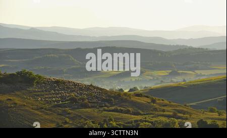Rural landscape at sunrise. Hills of Transylvania in the Carpathian Mountains. Rolling hills of Transylvania in the Carpathian Mountains at sunrise. Stock Photo