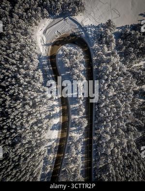 Aerial view of a winding road curves sharply through a snow-laden forest, contrasting the dark asphalt with the bright, frosty trees, Calgary, Alberta, Canada. Stock Photo