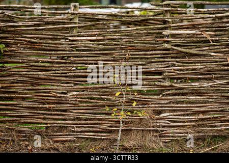 Old fence made of branches, wooden fence, fence in the village, retro vintage style, garden decor Shot on a Sony a6700 camera with a 100mm macro lens Stock Photo