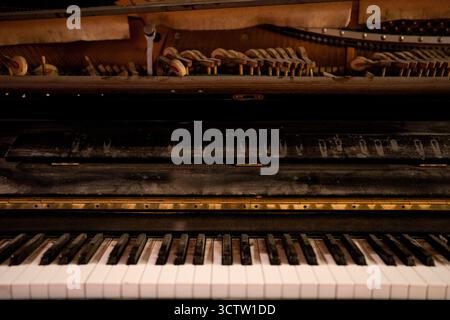 Close side view of shiny black and white piano keys with the reflection of the golden brass edge from low angle with shallow depth of field. Focus on Stock Photo