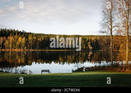 Dark park bench on a lawn by a still Swedish lake. Water mirrors a dense forest of evergreen and golden autumn trees under a bright sky. Stock Photo