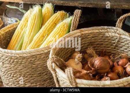 Freshly harvested yellow corn cobs and sweet onions are displayed in wicker baskets, emphasizing a rustic farm setting Stock Photo