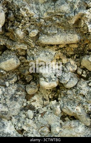 Weathered Stone Wall Texture Showing Cracks and Natural Vertical Patterns. Stock Photo