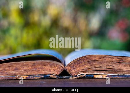 Open old book on a wooden table against the background of a summer garden, close up Stock Photo