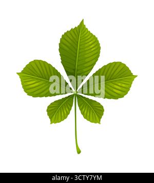 Cartoon chestnut leaf in autumn season Stock Vector