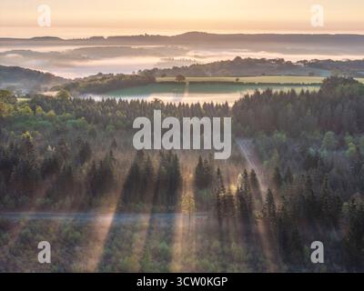 Misty sunrise above woodland and countryside in Dartmoor National Park, Devon, England.  Spring (April) 2025. Stock Photo