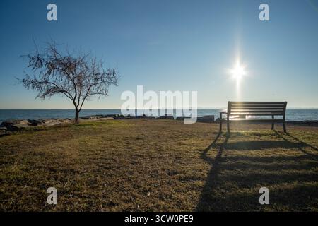 A seascape with a view of a distant city, an empty bench and a lonely tree in the foreground Stock Photo
