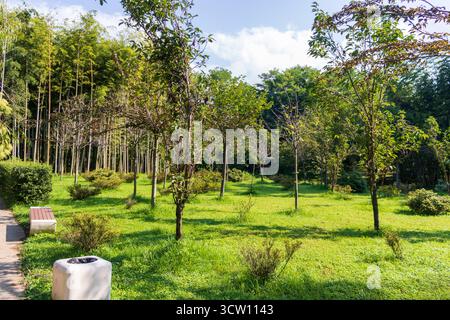 Shot of the different types of trees in the arboretum Stock Photo