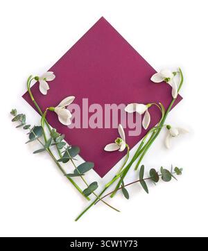 White snowdrops with green eucalyptus branches with leaves and magenta paper card note with space for text on a white background. Top view, flat lay. Stock Photo