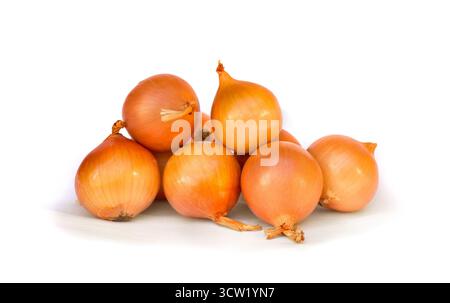 Fresh raw bulbs onion ( Allium cepa ) on a white background Stock Photo