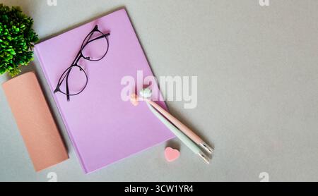 Notebook on light gray background with pens and erasers. Glasses with case. Flower. High quality photo Stock Photo