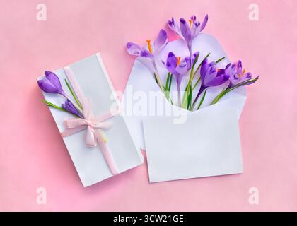 Spring decoration. Postal envelope with violet crocuses and paper card note with space for text, gift box on a pink background. Top view, flat lay Stock Photo