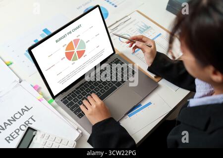 Budget Analysis. Professional presenting financial pie chart on laptop. Stock Photo