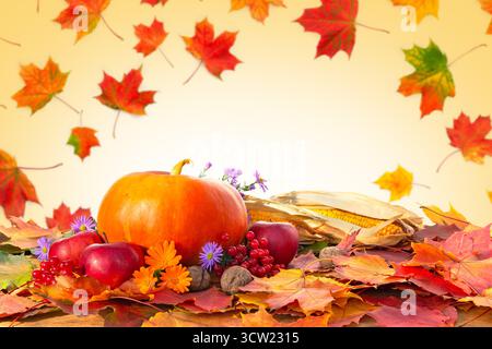 Colorful autumn still life composition with orange pumpkin, red apples, corn, walnuts, viburnum berries, and seasonal flowers on maple leaves Stock Photo