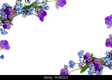 Frame of flowers viola tricolor ( pansy ) and blue wildflowers forget-me-nots on a white background with space for text. Top view, flat lay Stock Photo