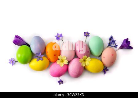 Easter decoration. Easter eggs and blue flowers hepatica, violet crocuses, yellow primula on white background with space for text. Top view, flat lay Stock Photo