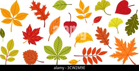 Autumn leaves set. Different leaves. aspen, ginkgo, maple, oak and other trees. Hand drawn trendy flat style isolated on transparent background. for pattern, banner, sticker. Hello fall. Stock Vector