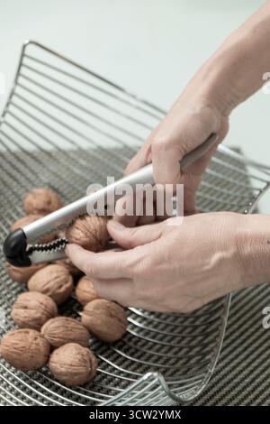 Hands cracking nutritious walnuts with a nutcracker, preparing healthy snack Stock Photo