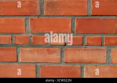 brick wall of a house with sunlight, close view Stock Photo