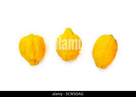 Top view flat lay of three whole yellow lemons on a clean white background with ample copy space. Minimalist citrus fruit composition, perfect for foo Stock Photo