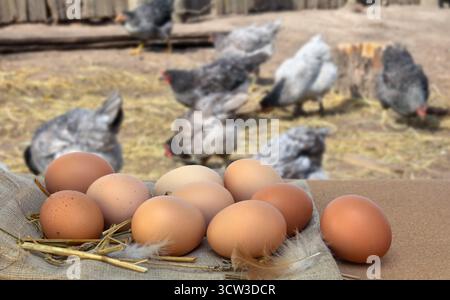 Farm eggs on burlap and straw on chickens graze background Stock Photo