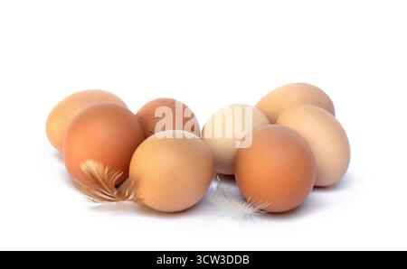 Farm brown eggs with feather on a white background with space for text. Rustic view Stock Photo