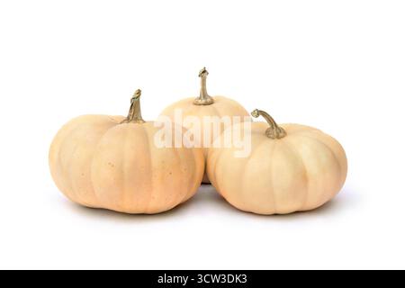 Fresh raw pumpkins on a white background with space for text Stock Photo