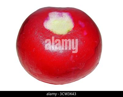 Radish isolated on white background Stock Photo