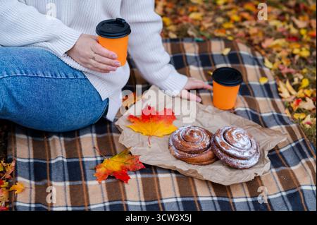 Close-up autumn picnic scene with partial view of woman in sweater sitting on plaid blanket, holding coffee cup near cinnamon rolls and colorful fall Stock Photo