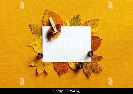 Top view of a blank white postcard with colorful autumn leaves and three small tree cones on yellow background. Stock Photo